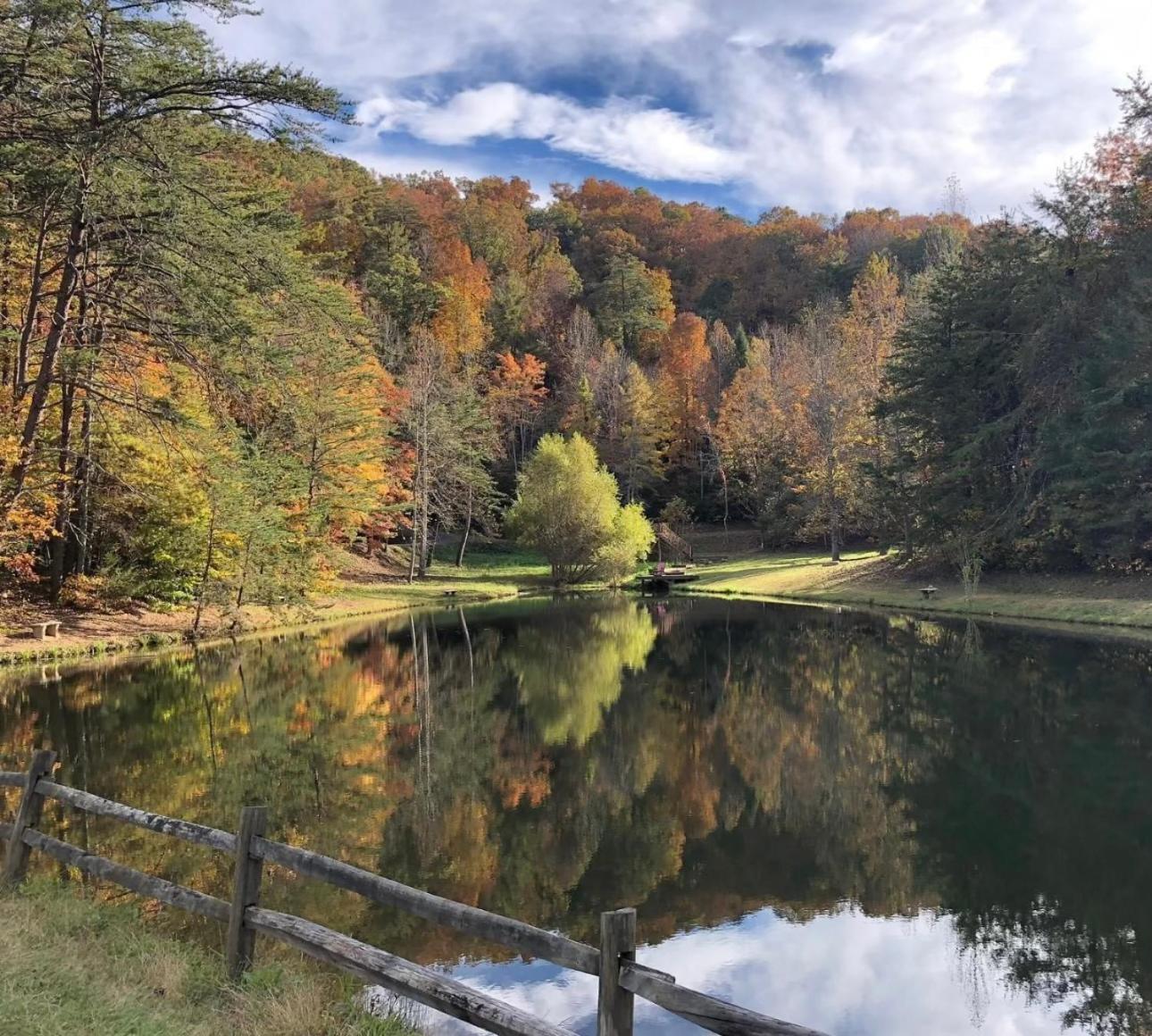 Yoli Bear Hideaway Villa Sevierville Kültér fotó