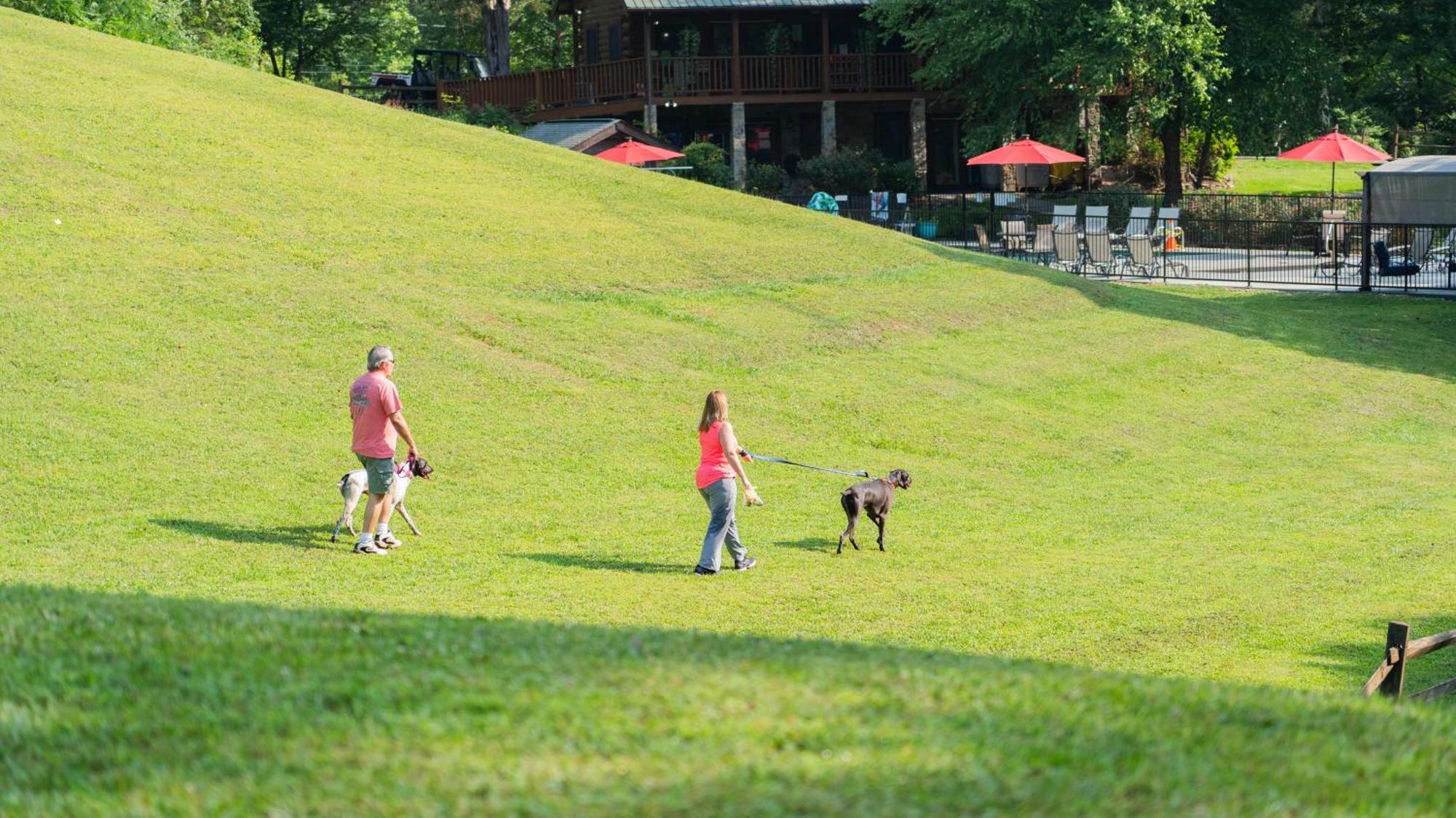 Yoli Bear Hideaway Villa Sevierville Kültér fotó