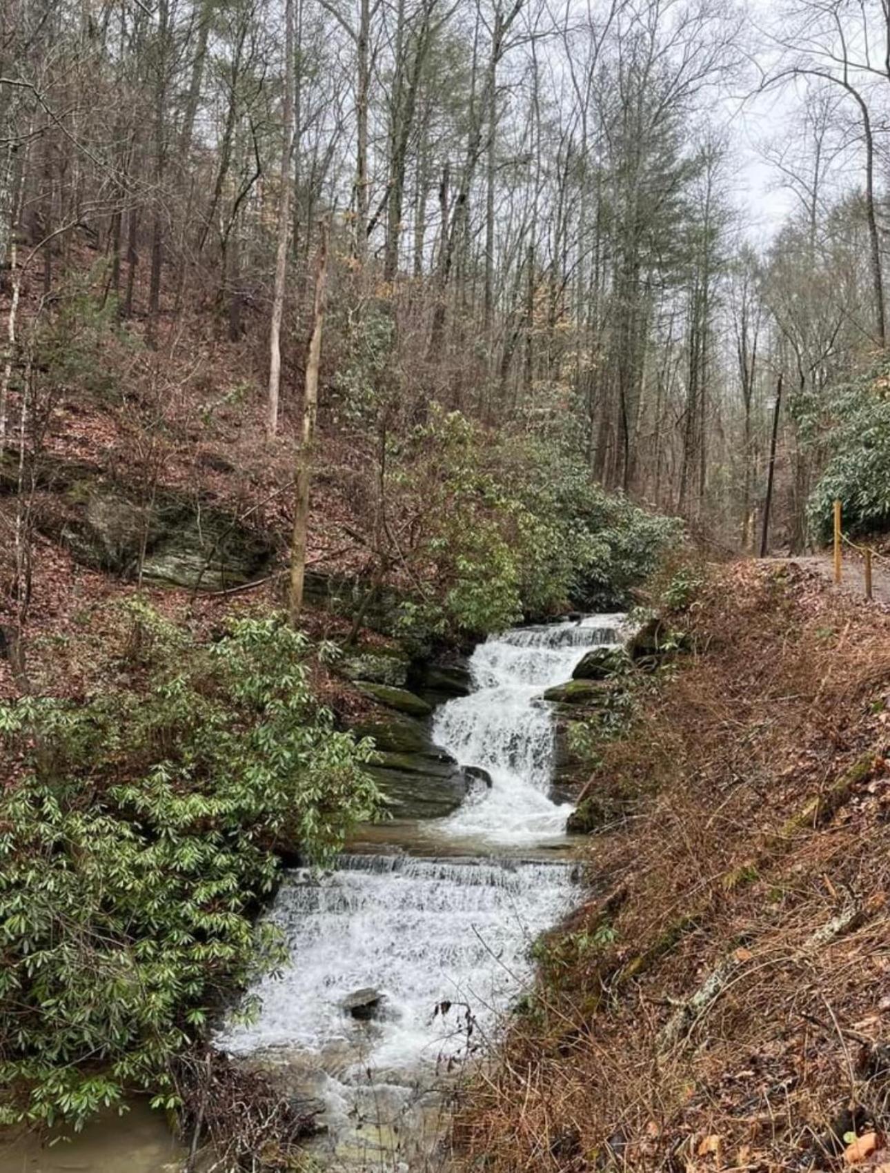 Yoli Bear Hideaway Villa Sevierville Kültér fotó