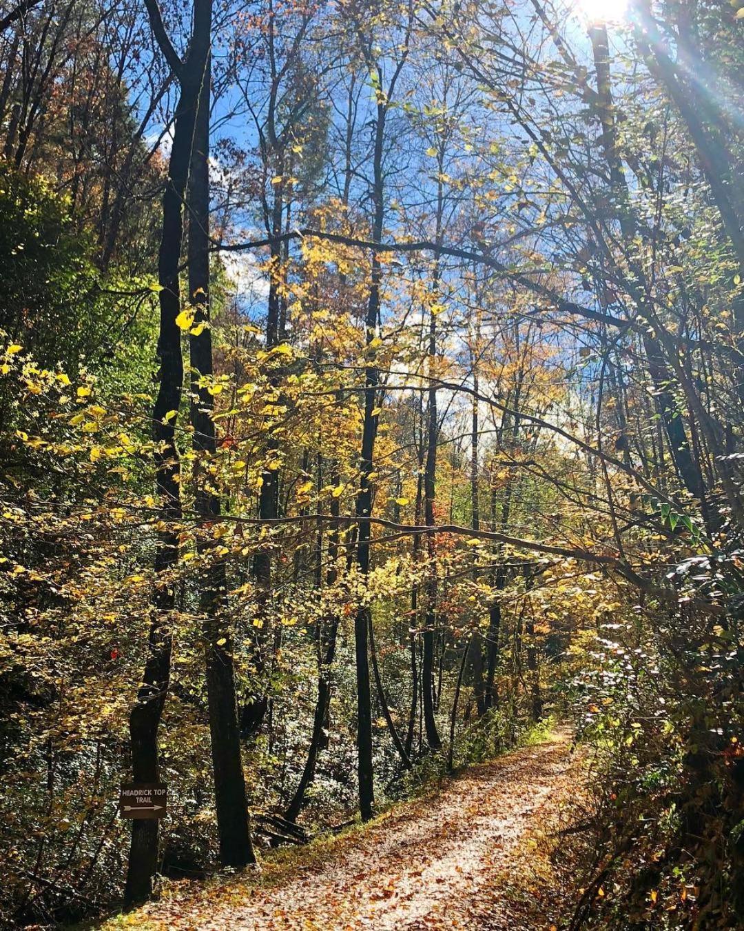 Yoli Bear Hideaway Villa Sevierville Kültér fotó